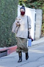 SCOUT WILLIS Out with Her Dog in Los Feliz 11/13/2020