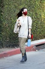 SCOUT WILLIS Out with Her Dog in Los Feliz 11/13/2020