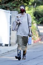 SCOUT WILLIS Out with Her Dog in Los Feliz 11/13/2020