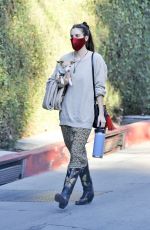 SCOUT WILLIS Out with Her Dog in Los Feliz 11/13/2020