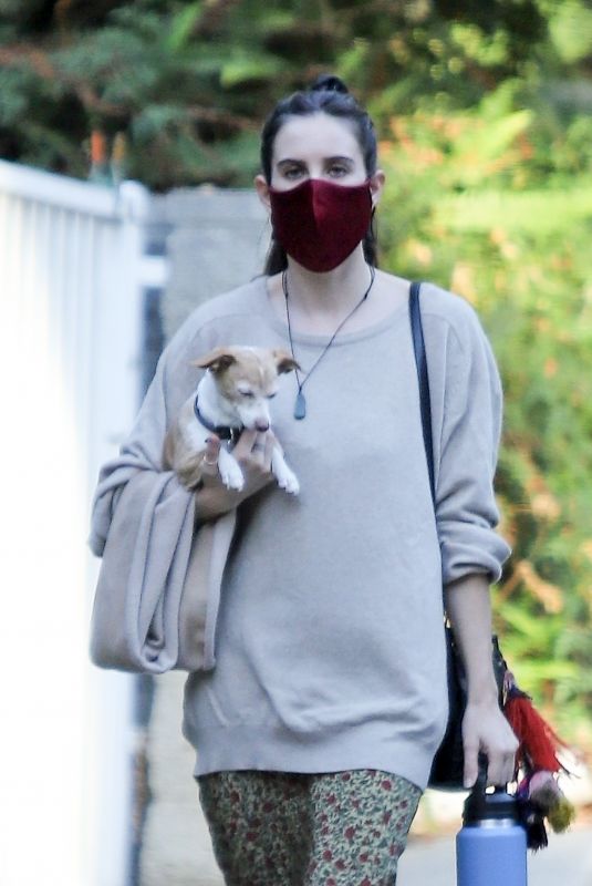 SCOUT WILLIS Out with Her Dog in Los Feliz 11/13/2020