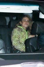 SOMMER RAY Out for Dinner in Los Angeles 11/14/2020