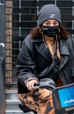 VANESSA HUDGENS and GG Magree on Citibikes Out in new York 11/15/2020