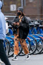 VANESSA HUDGENS and GG Magree on Citibikes Out in new York 11/15/2020
