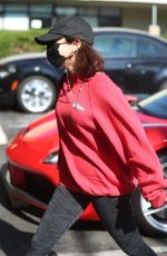 VANESSA HUDGENS and GG MAGREE at Earth Bar After a Workout in West Hollywood 11/18/2020