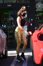 VANESSA HUDGENS at Earthbar in Los Angeles 11/17/2020