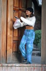 VANESSA HUDGENS Picking Up Food Delivery at Her Home in Los Angeles 11/18/2020