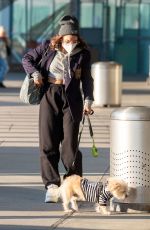 VANESSA HUDGENS with Her Dog at JFK Airport in New York 11/16/2020