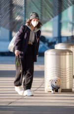 VANESSA HUDGENS with Her Dog at JFK Airport in New York 11/16/2020