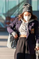 VANESSA HUDGENS with Her Dog at JFK Airport in New York 11/16/2020