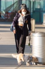 VANESSA HUDGENS with Her Dog at JFK Airport in New York 11/16/2020