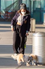VANESSA HUDGENS with Her Dog at JFK Airport in New York 11/16/2020