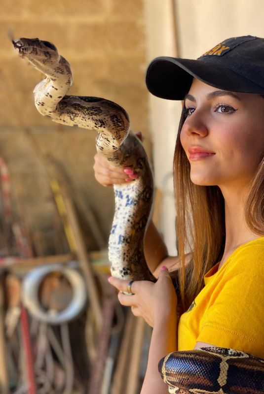 VICTORIA JUSTICE with a Snake - Instagram Photos 11/14/2020