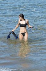 ALEXANDRA DADDARIO in a Black Bikini at a Beach in Maui 12/01/2020
