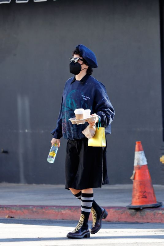 ALIA SHAWKAT Out for Coffee in Los Feliz 12/29/2020
