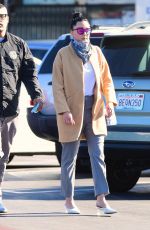 AMANDA BYNES and Paul Michael Out Shopping in Los Angeles 12/10/2020