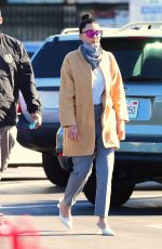 AMANDA BYNES and Paul Michael Out Shopping in Los Angeles 12/10/2020