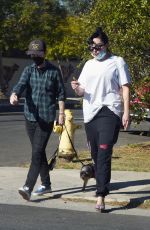 AMANDA BYNES Out with a Friend in Los Angeles 12/02/2020