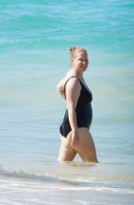 AMY SCHUMER in Swimsuit at a Beach in St. Barths 12/26/2020
