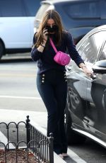 ANA DE ARMAS Out for Christmas Shopping in Pacific Palisades 12/11/2020