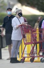 ARIEL WINTER Shopping at Trader Joe