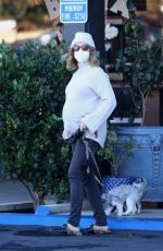 ASHLEY TISDALE Out with Her Dogs in Agoura Hills 12/29/2020