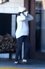ASHLEY TISDALE Out with Her Dogs in Agoura Hills 12/29/2020