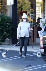 ASHLEY TISDALE Out with Her Dogs in Agoura Hills 12/29/2020