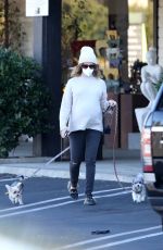 ASHLEY TISDALE Out with Her Dogs in Agoura Hills 12/29/2020