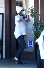 ASHLEY TISDALE Out with Her Dogs in Agoura Hills 12/29/2020