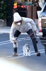 ASHLEY TISDALE Out with Her Dogs in Agoura Hills 12/29/2020