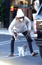 ASHLEY TISDALE Out with Her Dogs in Agoura Hills 12/29/2020