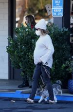 ASHLEY TISDALE Out with Her Dogs in Agoura Hills 12/29/2020