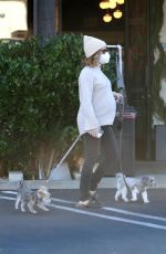 ASHLEY TISDALE Out with Her Dogs in Agoura Hills 12/29/2020