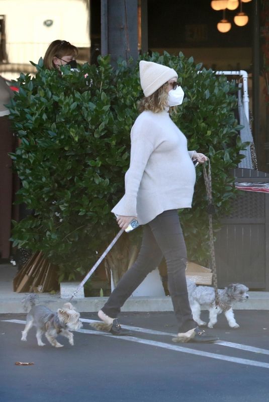 ASHLEY TISDALE Out with Her Dogs in Agoura Hills 12/29/2020