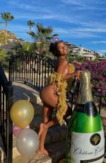 AVA DASH in Bikini - Instagram Photos 12/08/2020