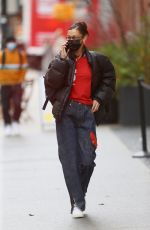 BELLA HADID Out Shopping in New York 12/02/2020