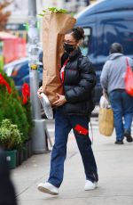 BELLA HADID Out Shopping in New York 12/02/2020