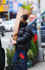 BELLA HADID Out Shopping in New York 12/02/2020