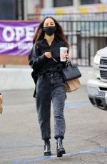 CARA SANTANA Out and About in West Hollywood 12/11/2020