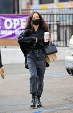CARA SANTANA Out and About in West Hollywood 12/11/2020
