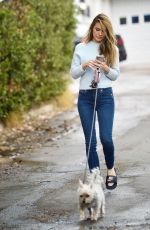 CHRISHELL STAUSE Out with Her Dog in Hollywood hills 12/08/200