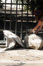 CLARA BERRY Volunteering to Pick up Trash in Mexico 12/10/2020