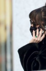 DAKOTA JOHNSON Out in West Hollywood 12/11/2020
