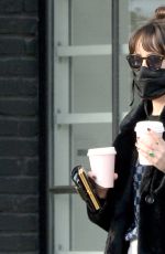 DAKOTA JOHNSON Out in West Hollywood 12/11/2020