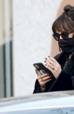 DAKOTA JOHNSON Out in West Hollywood 12/11/2020