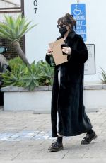 DAKOTA JOHNSON Out in West Hollywood 12/11/2020