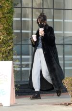 DAKOTA JOHNSON Shopping at Elder Statesman in West Hollywood 12/11/2020