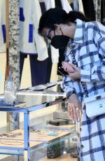 DRAYA MICHELE Out Shopping on Rodeo Drive in Beverly Hills 12/29/2020