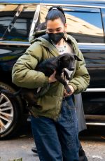 DUA LIPA Out with Her Dog in New York 12/15/2020